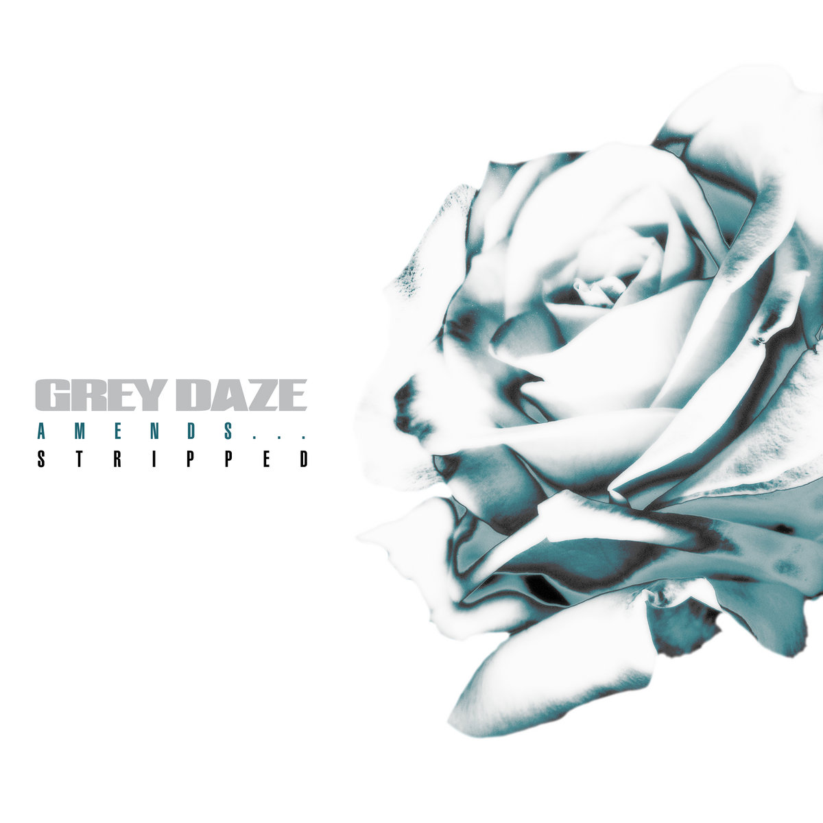 grey daze merch