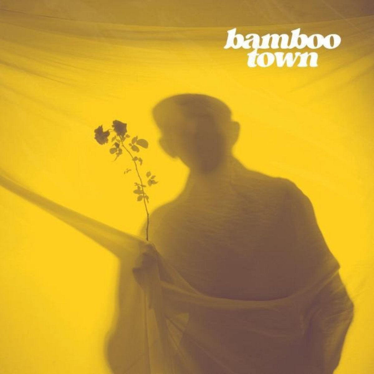 Bamboo Town | Bamboo Town | Lost Wave Record