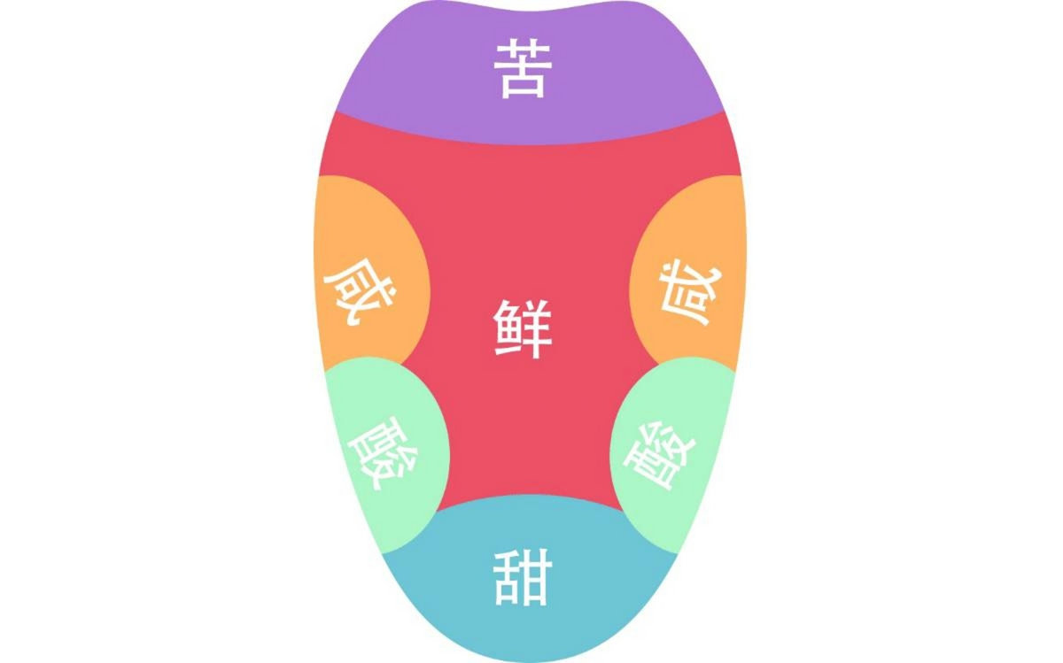 Sa Re Ga Ma Pa Dha Ni Tonysilver Sa Re Ga Ma Pa Dha Ni Tonysilver