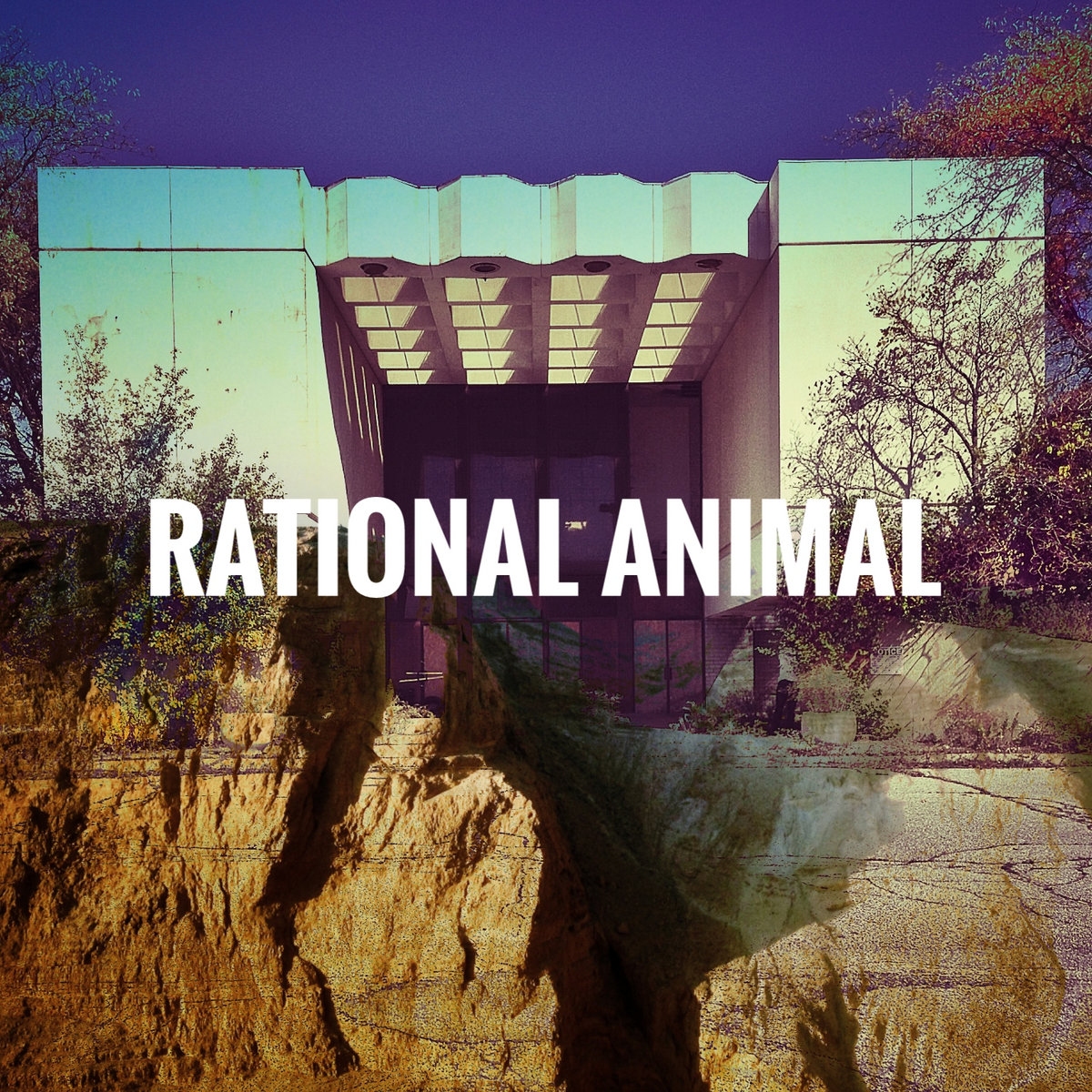 Rational Animal Rational Animal