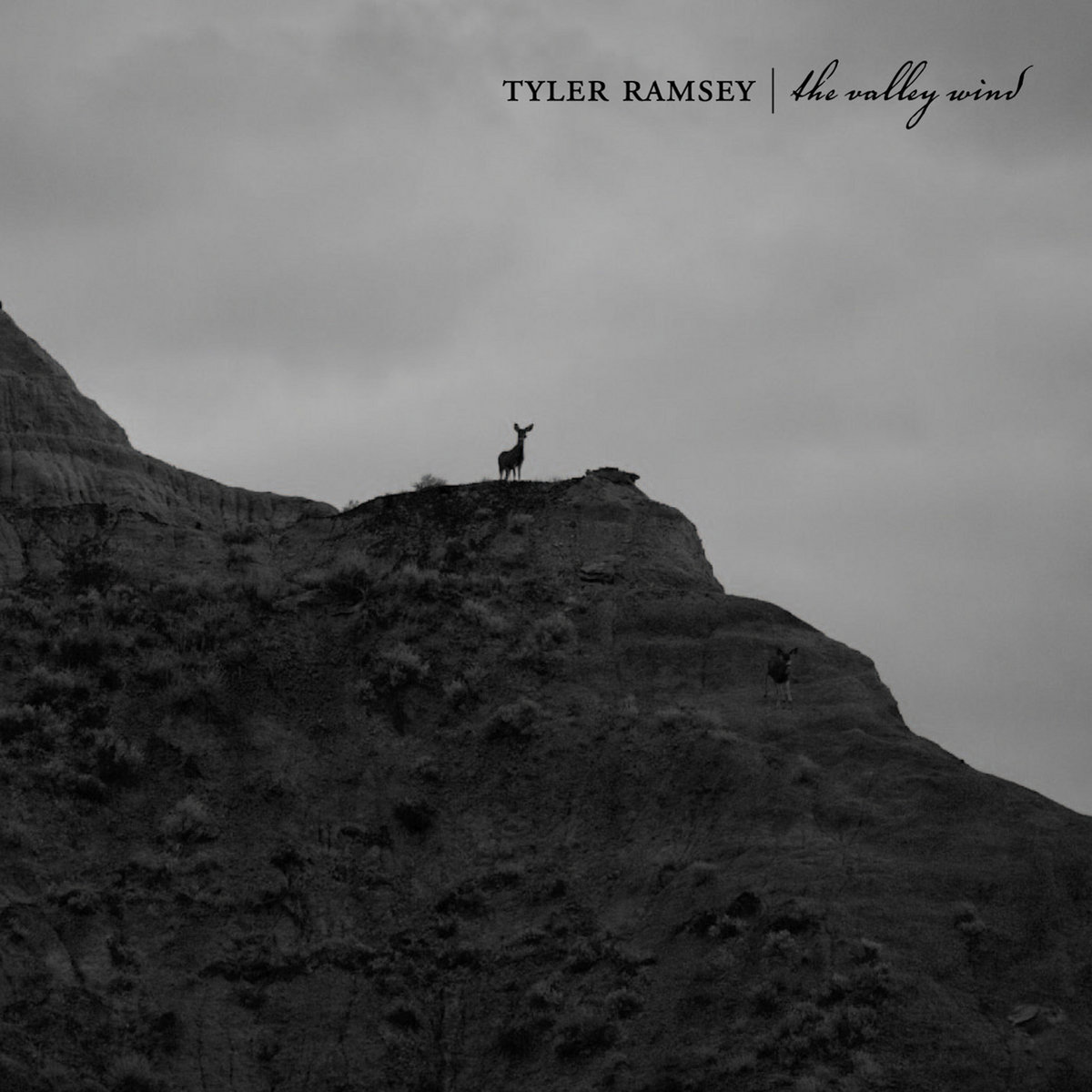 【中古】 Tyler Ramsey / Valley Wind The Valley Wind CD | Tyler Ramsey