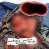 Mentally unstable genocide addict