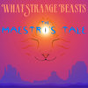 The Maestro's Tale