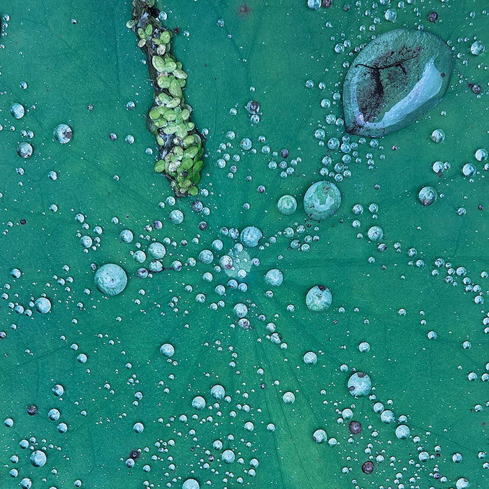 Dust 1 | Peter Chilvers | Curious Music