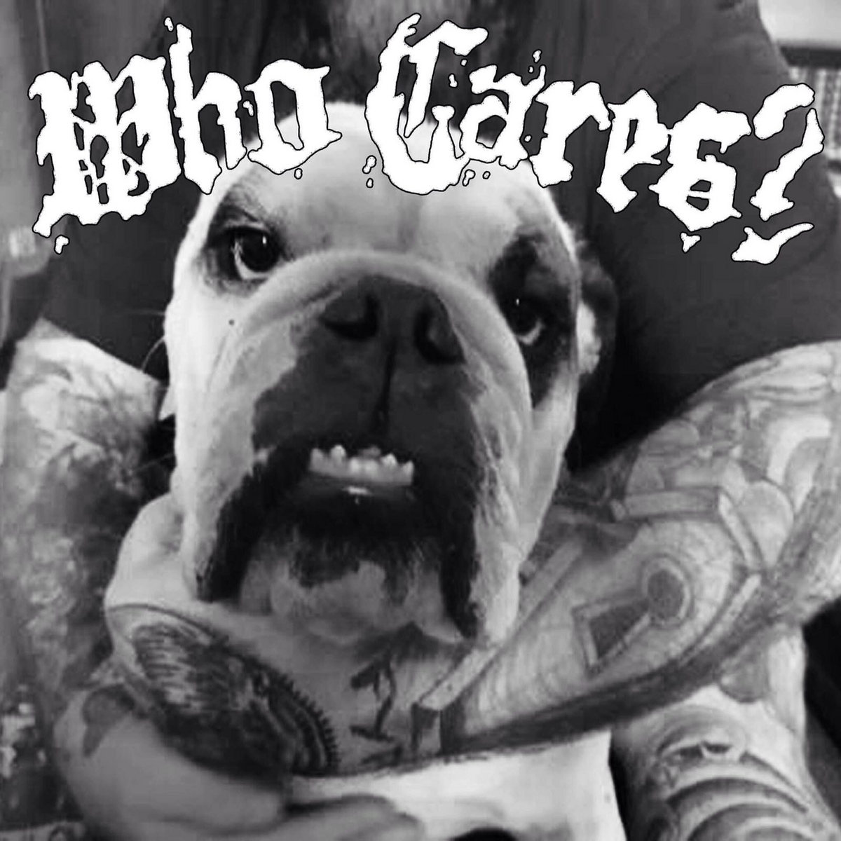 Why Bother WHO CARES Who Cares 
