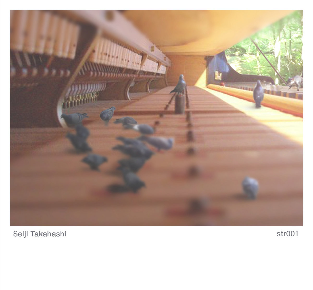 その他 AIR The 1000th summer / studio key その他 AIR The 1000th summer / studio key その他 AIR The