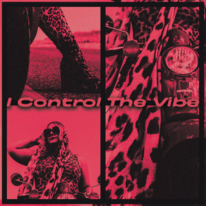 I Control The Vibe cover