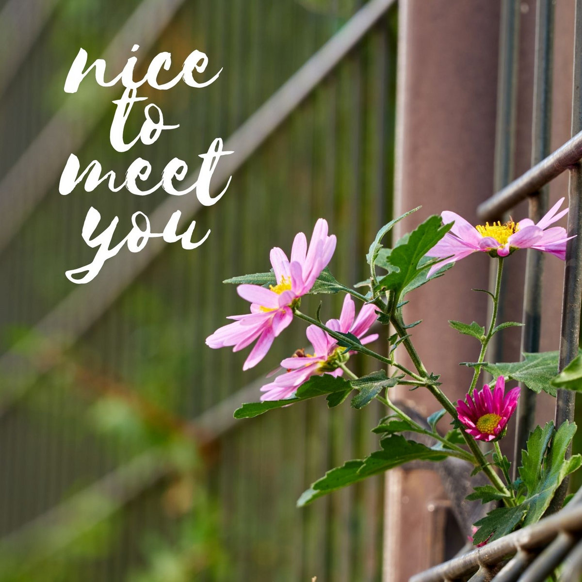 Nice To Meet You | Koshun Nakao 中尾功俊