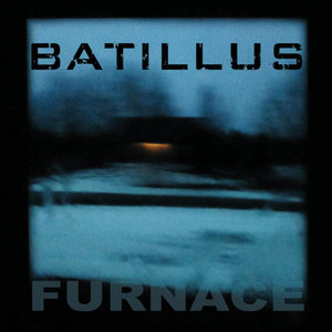 Furnace cover