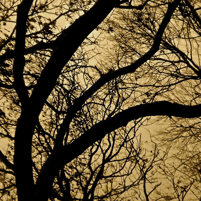 The Garden of Bliss and Murder TRADISH