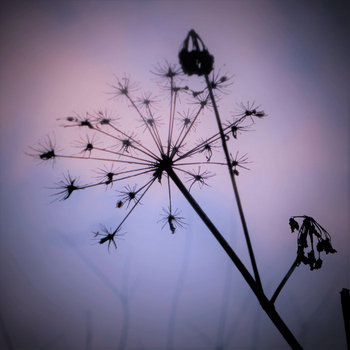Album artwork for Von Wegen