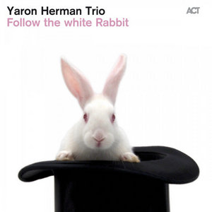 Follow the White Rabbit cover