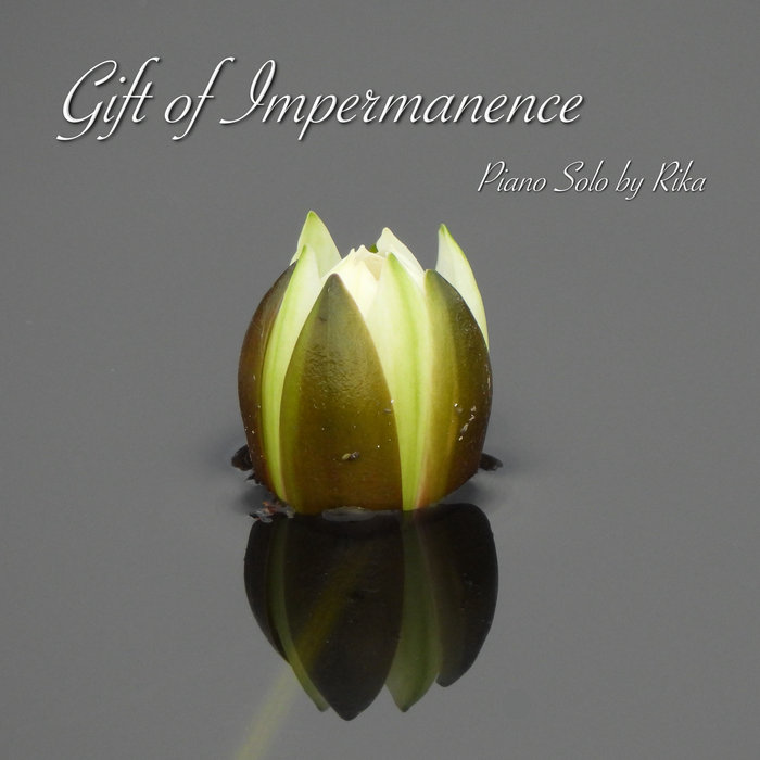 Gift of Impermanence cover art