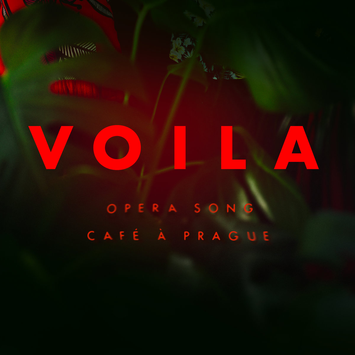 OPERA SONG VOILA!