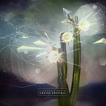 Cactus Crystals cover art