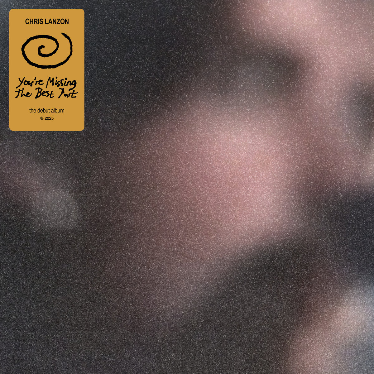 You're Missing The Best Part | Chris Lanzon | LAB Records