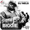 NOTORIOUS B.I.G MIXTAPE ( mixed by dj nels )
