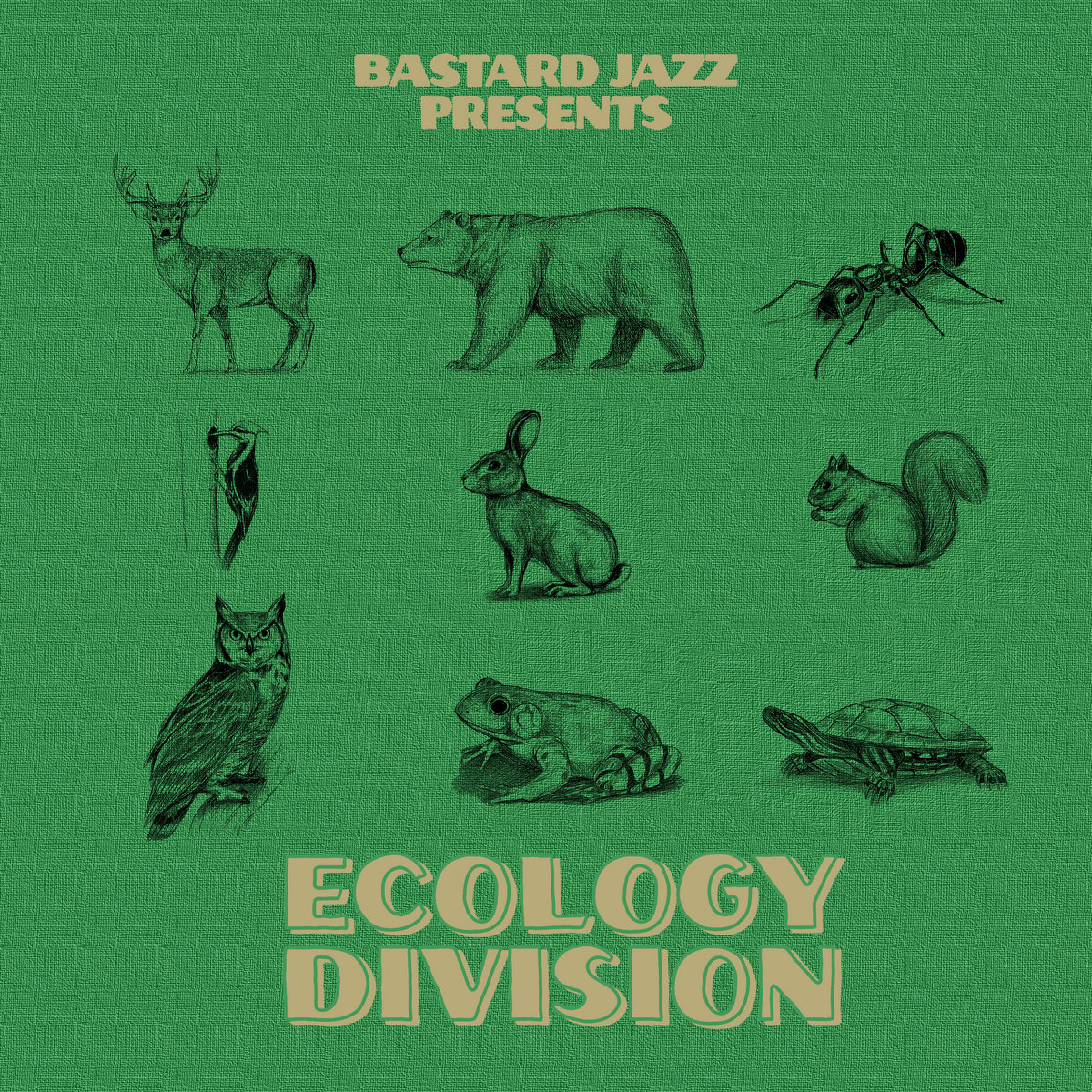 Ecology Division | Bastard Jazz Compilations