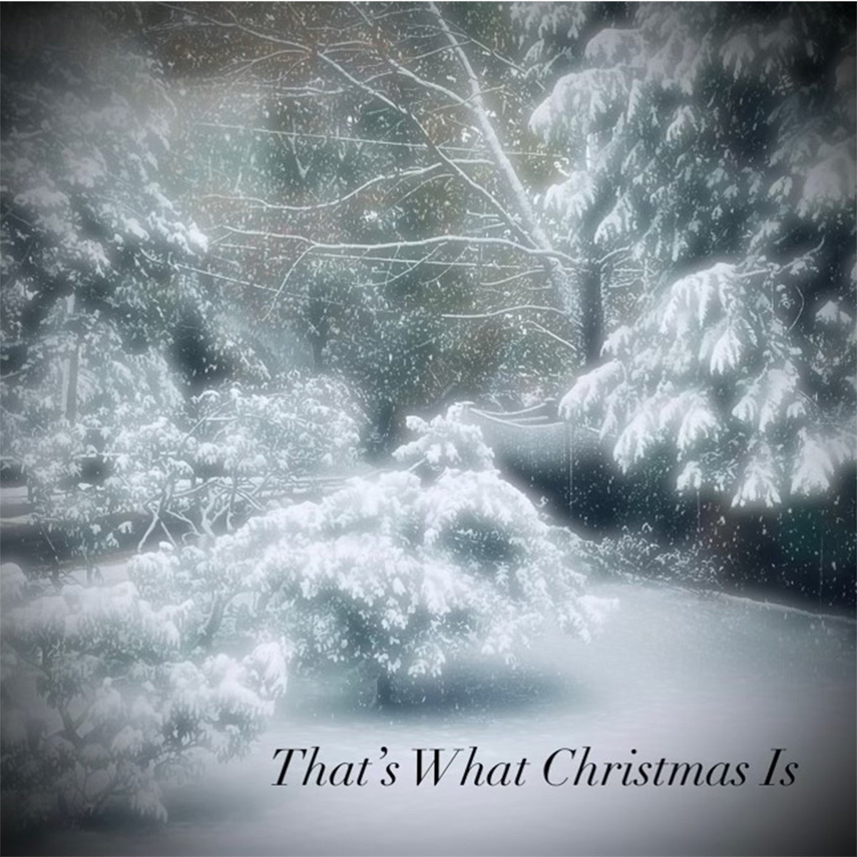 Love Is The Meaning Of Christmas Lyrics Love Is The Meaning Of Christmas Lyrics
