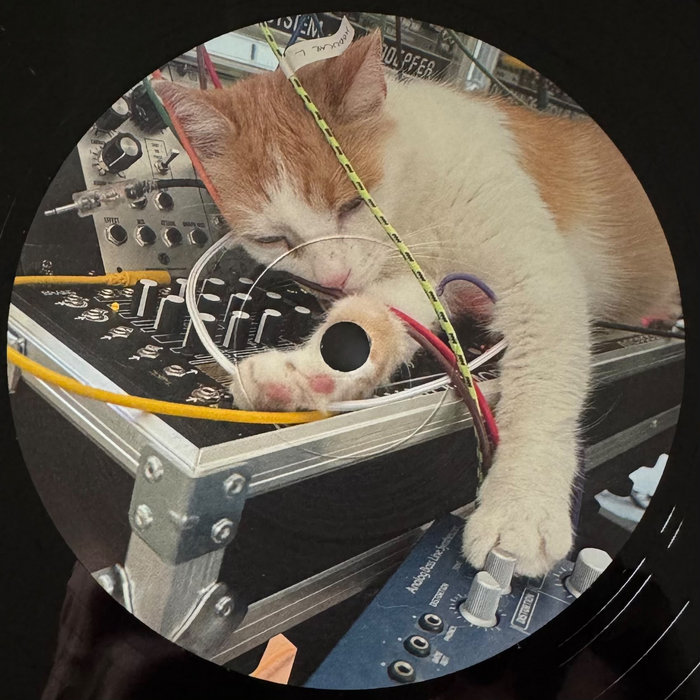 Pochette de Vrilouz EP par Snakeform