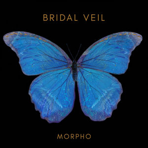 Bridal Veil — Morpho