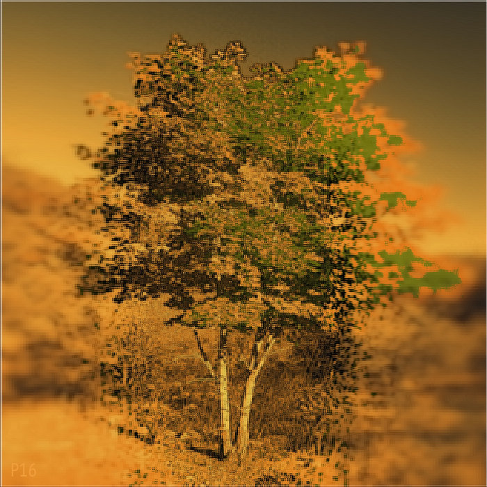 tree | Process 16