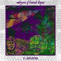 embryons of liminal dispose cover art