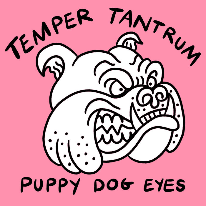 Puppy Dog Eyes Temper Tantrum