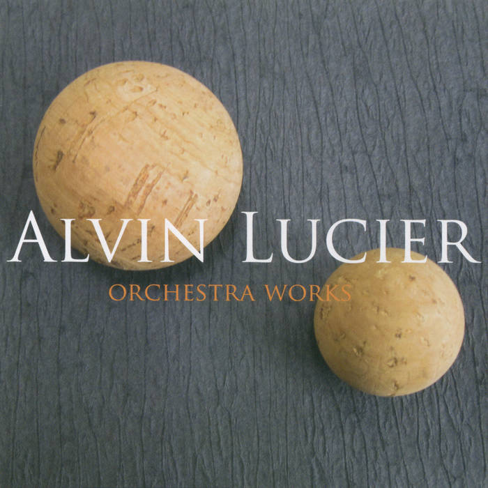 ALVIN LUCIER 『EVER PRESENT』　mode 178 Works for the Ever Present Orchestra | Alvin Lucier | Black Truffle