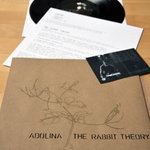 RABBIT THEORY / ADOLINA split 12"