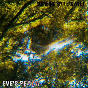 Climbing Bittersweet cover