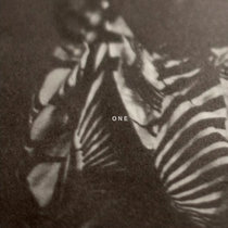 A1 - Mafungo [Joe's Forest Version] (8:00) | The Bayara