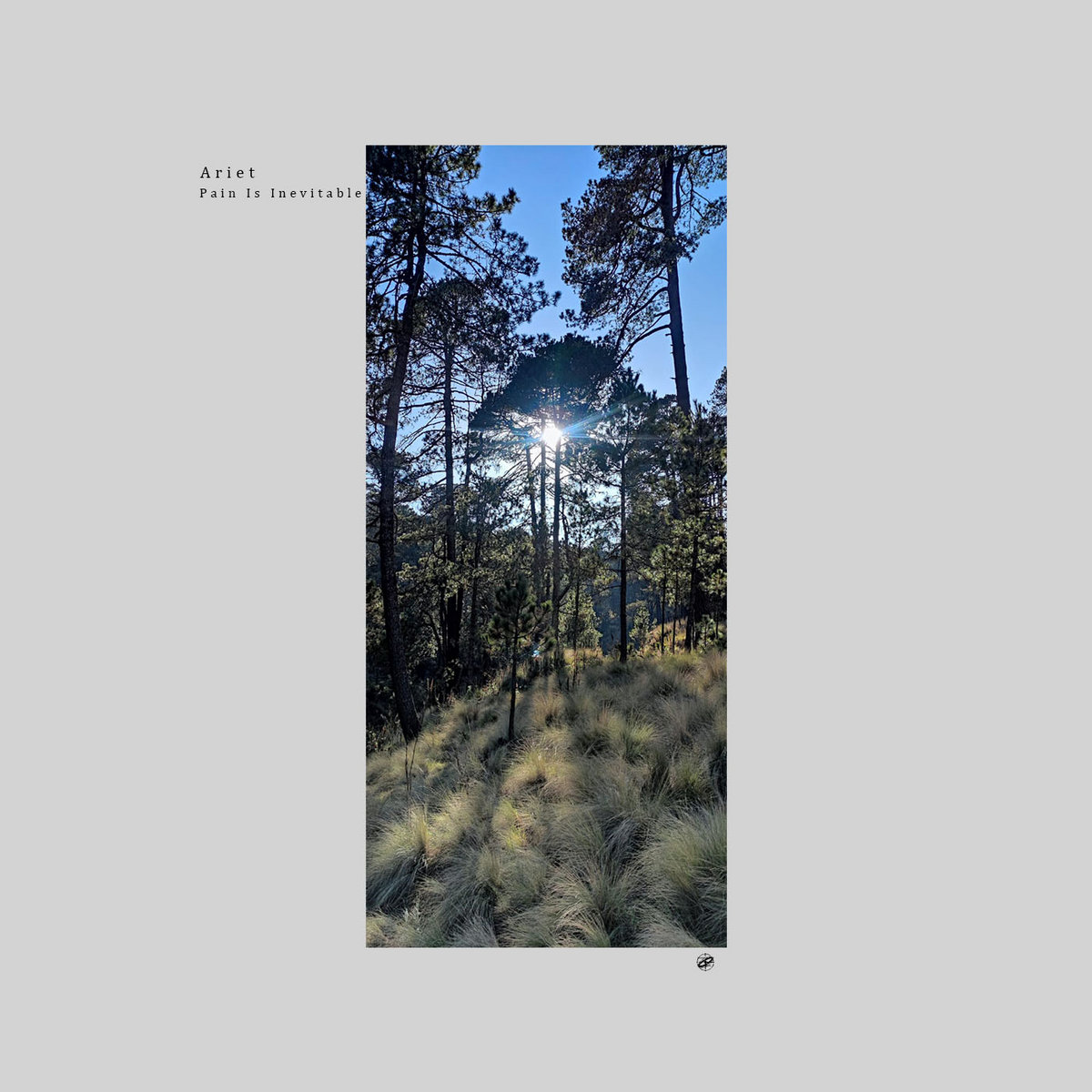 Path Towards