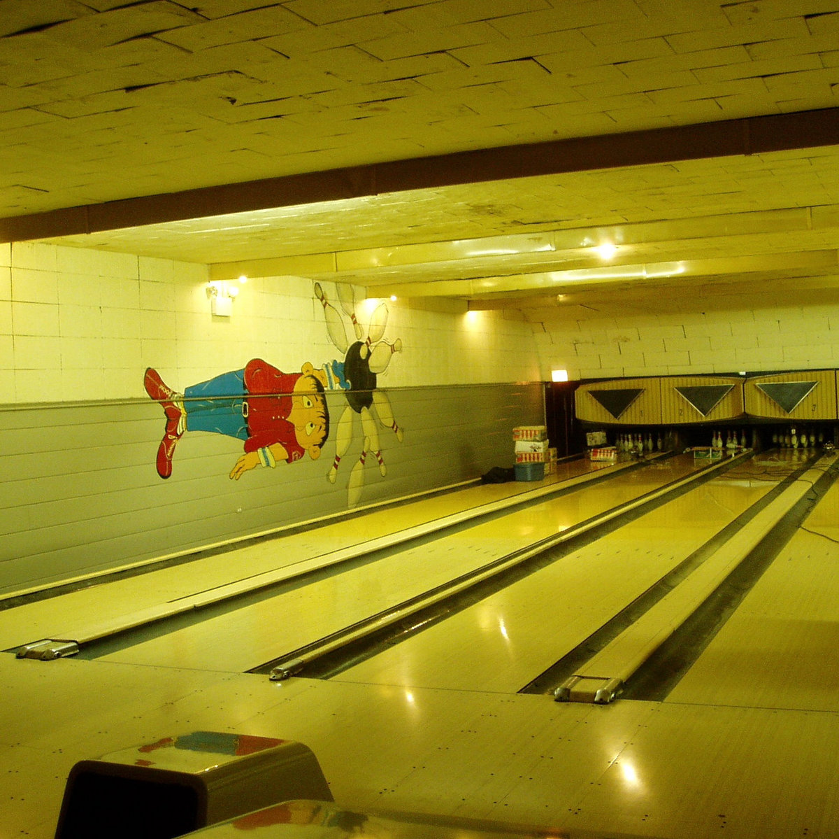 fireside bowl il