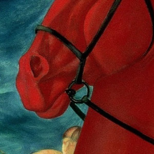 red horse cover