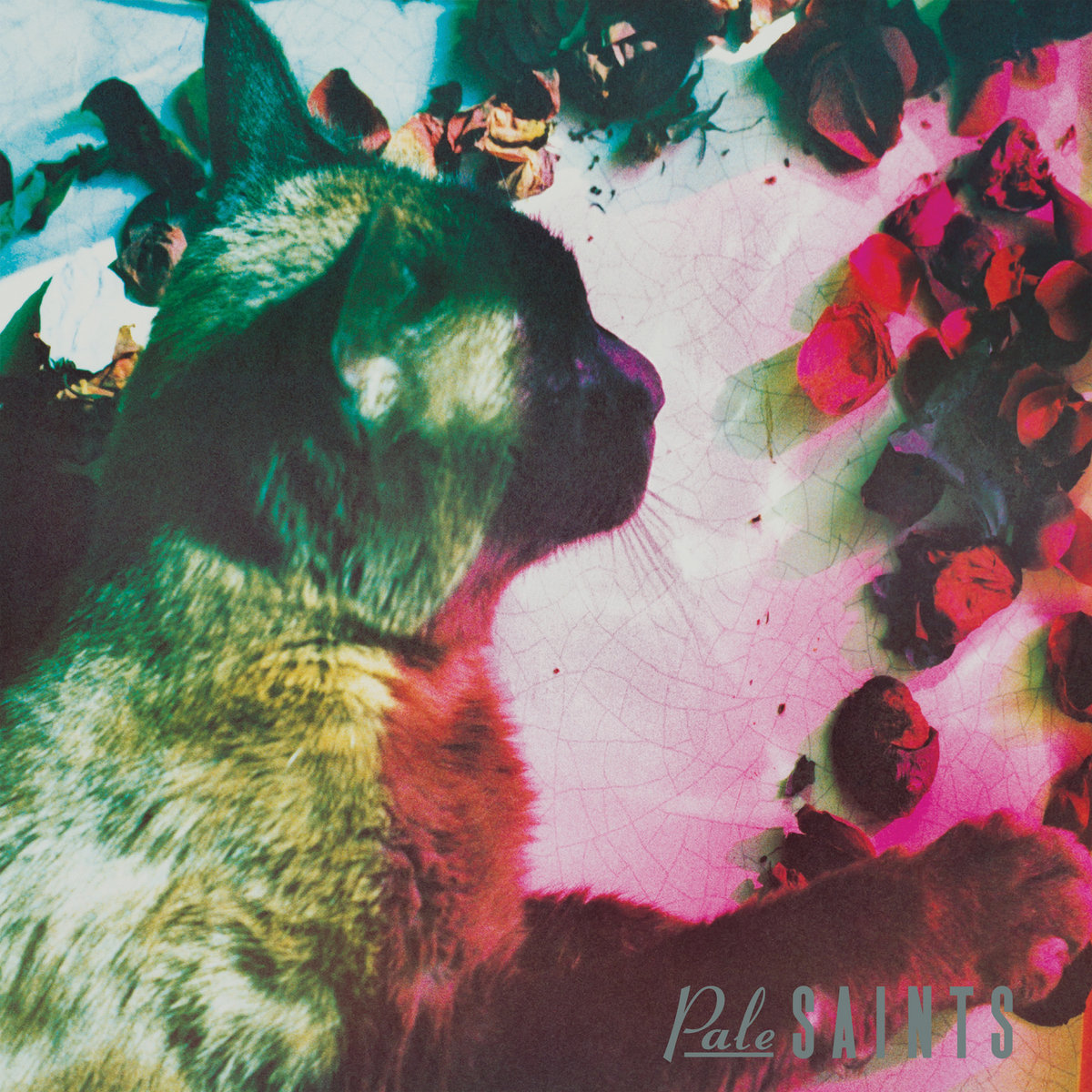 pale saints made in England オリジナル a0291439380_10.jpg
