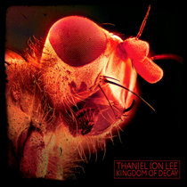 Kingdom Of Decay cover art