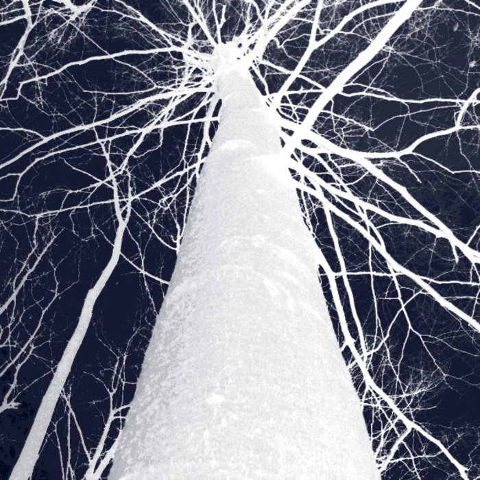 Exploding Tree Ristk Exploding Tree Risk | Exploding Tree Risk | enstillhet