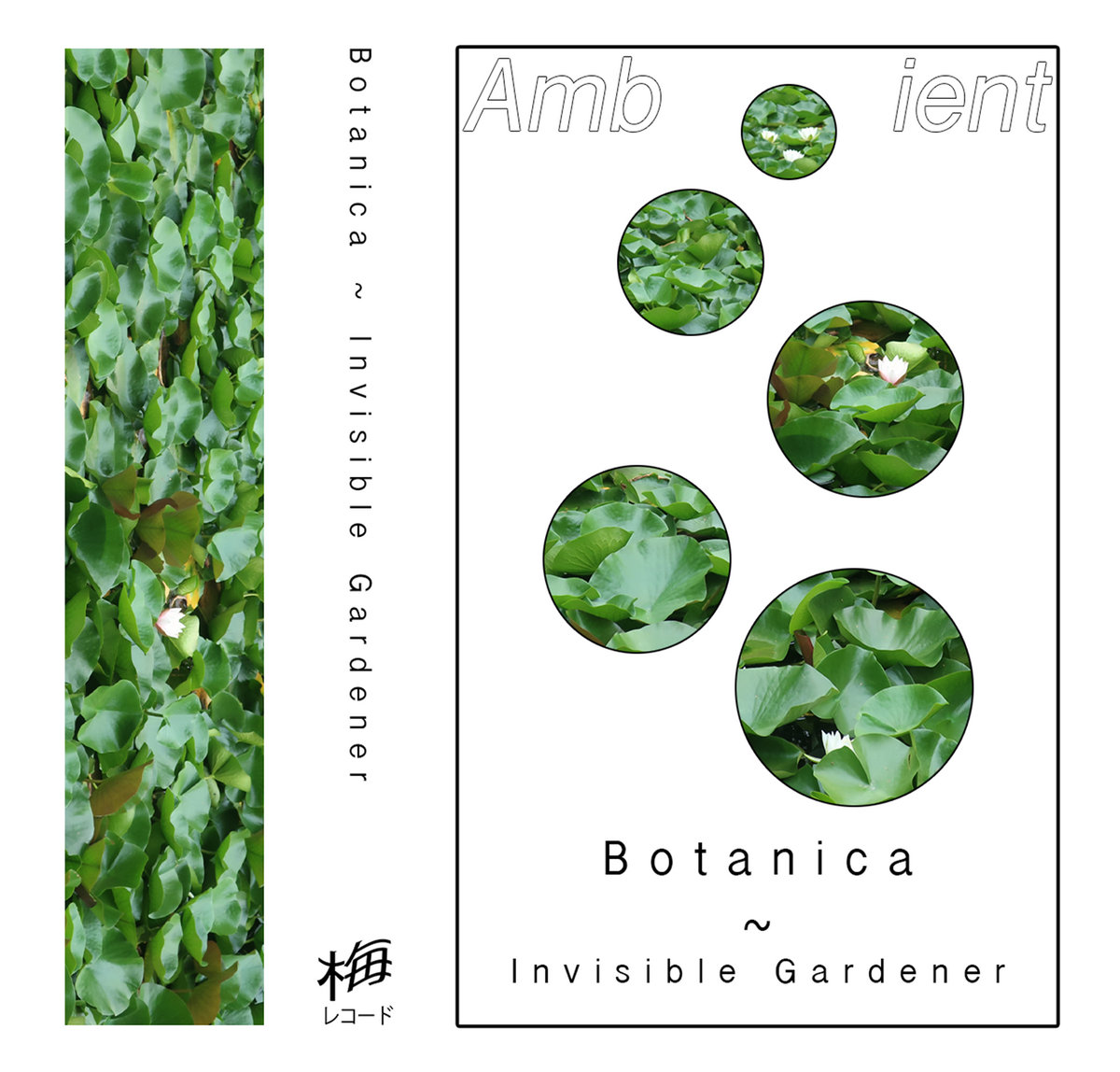 invisible-gardener-botanica