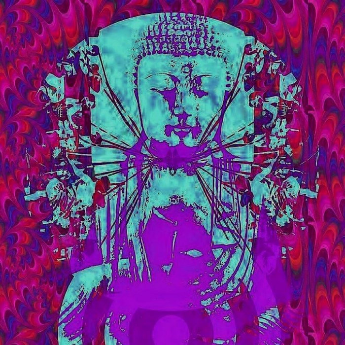 Sonic Sitar Zen Trip NWOK