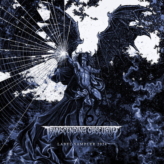 2024 Label Sampler | Transcending Obscurity Records