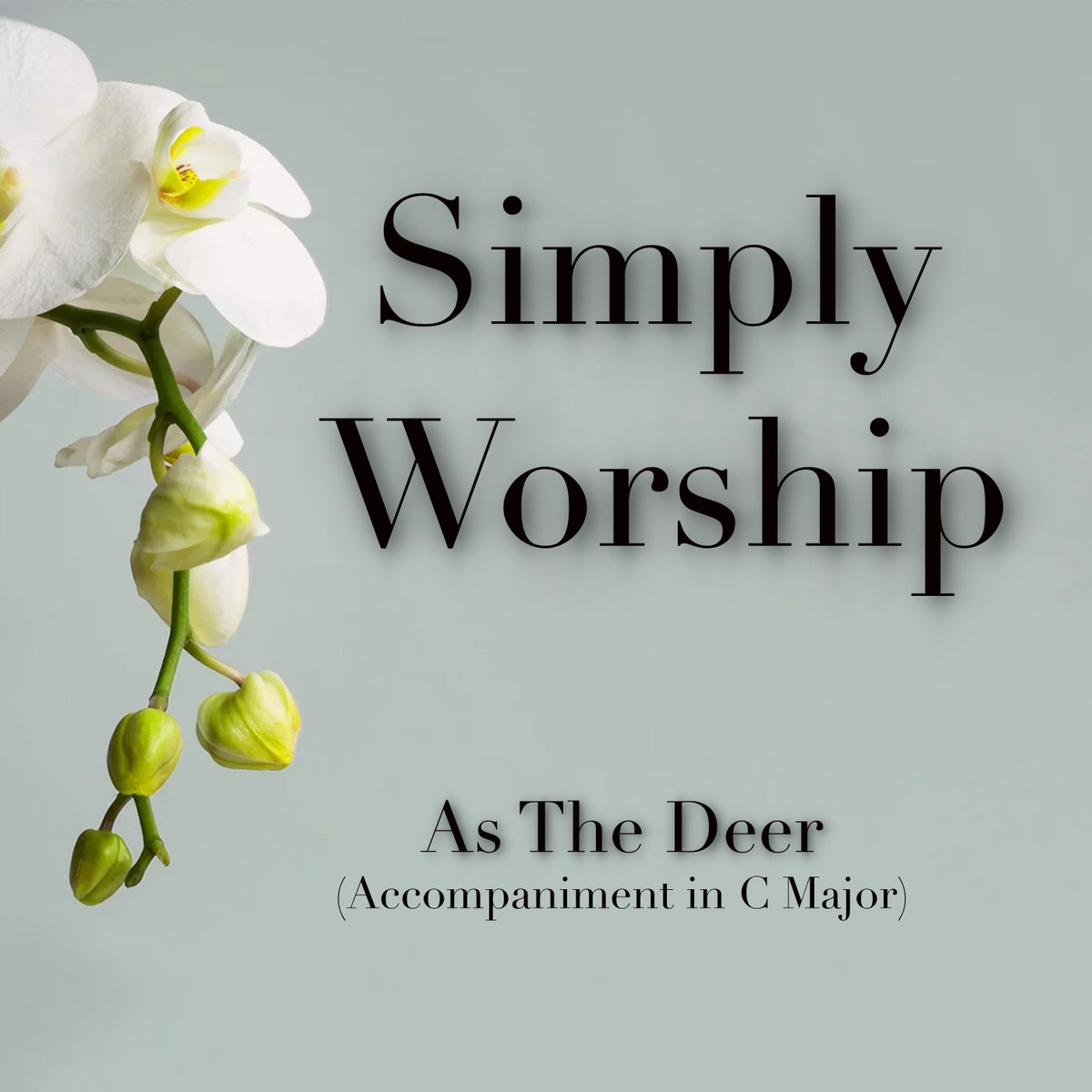 As The Deer - Singalong - (C Major)