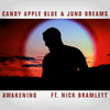 Awakening (ft. Nick Bramlett)