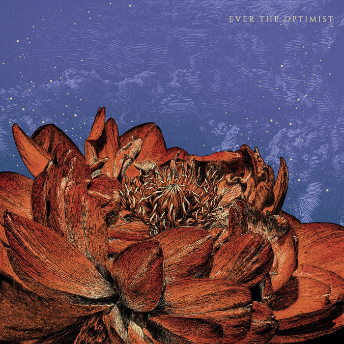 Ever the Optimist Exploring Birdsong