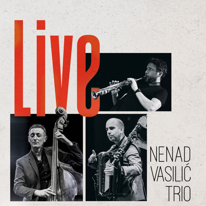 洋楽 Nenad Vasilic The Art of the Balkan Bass The Art of the Balkan Bass | Nenad Vasilic