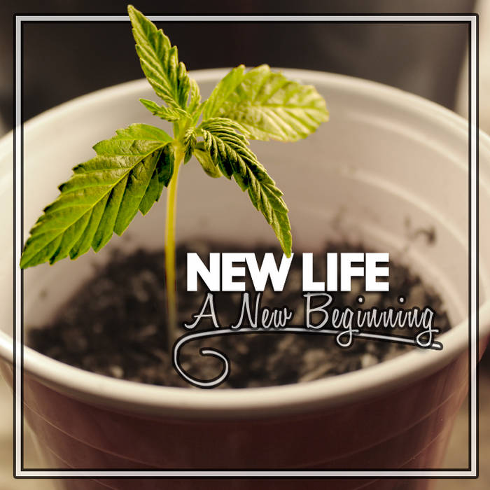 A New Beginning | New Life