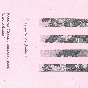 Aster Shroud cover