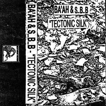 Веб-камерадағы қынап