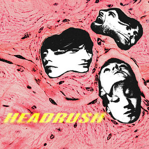 Headrush cover