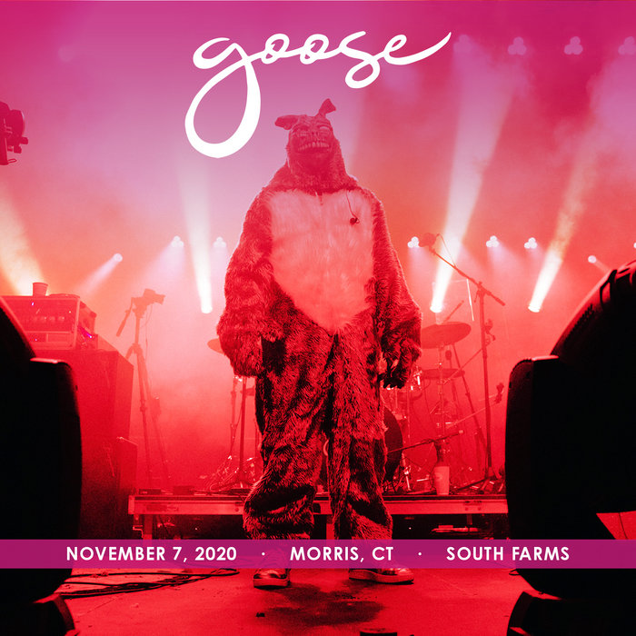 2020/11/07 South Farms, Morris, CT Goose